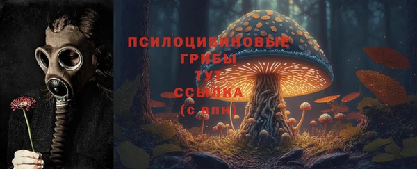 шишки Алексеевка
