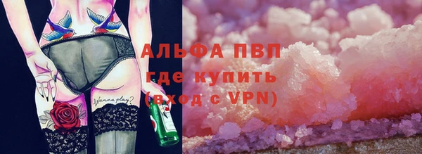 PSILOCYBIN Алзамай